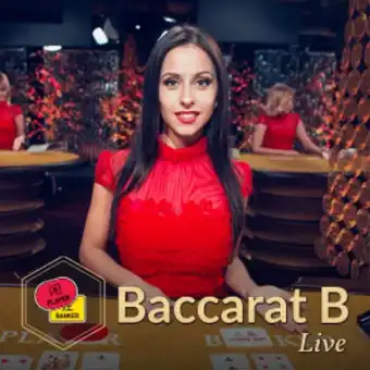 Playfina casino baccarat_b